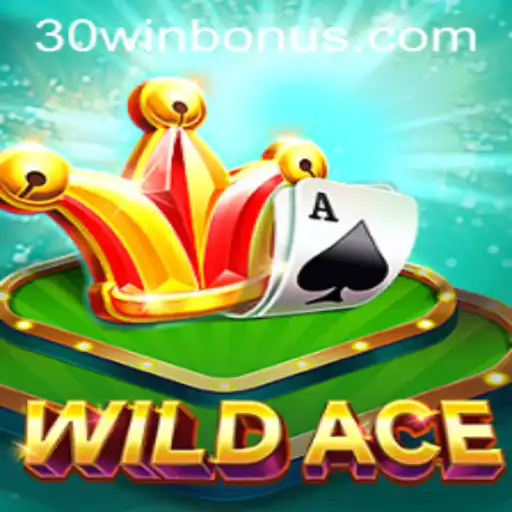 Descubra o Fascinante Universo do Jogo WildAce